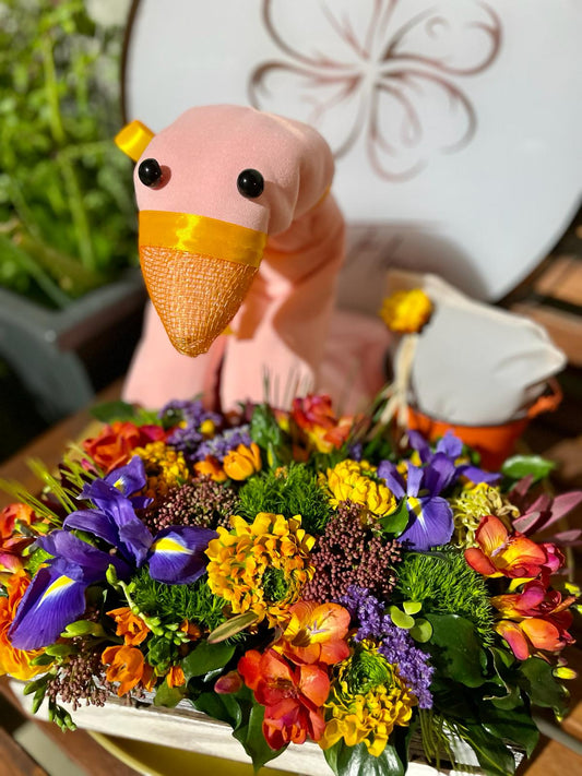 Pink duck