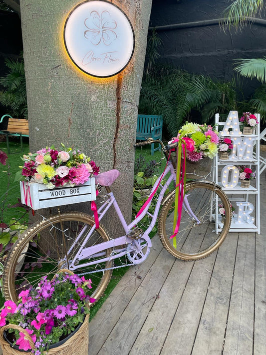 Bicycle for rent (flowers are not included in the price)