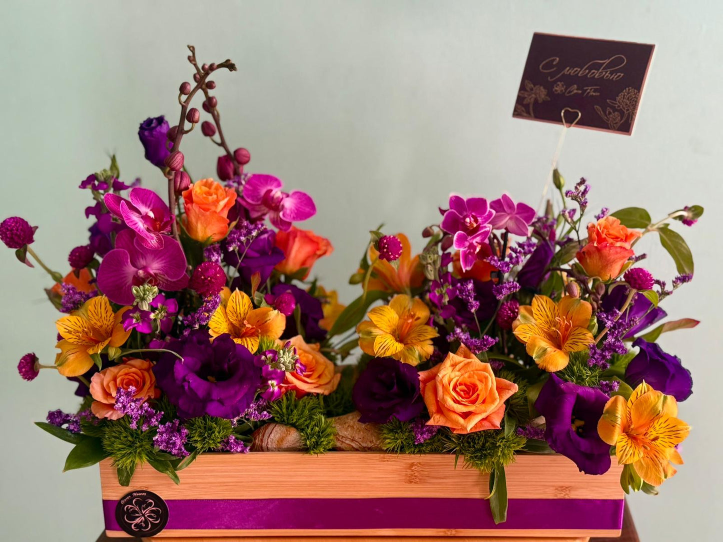 The Magic of Orchids