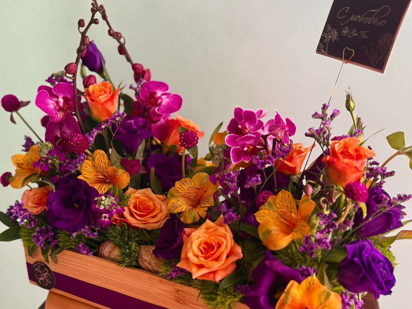 The Magic of Orchids